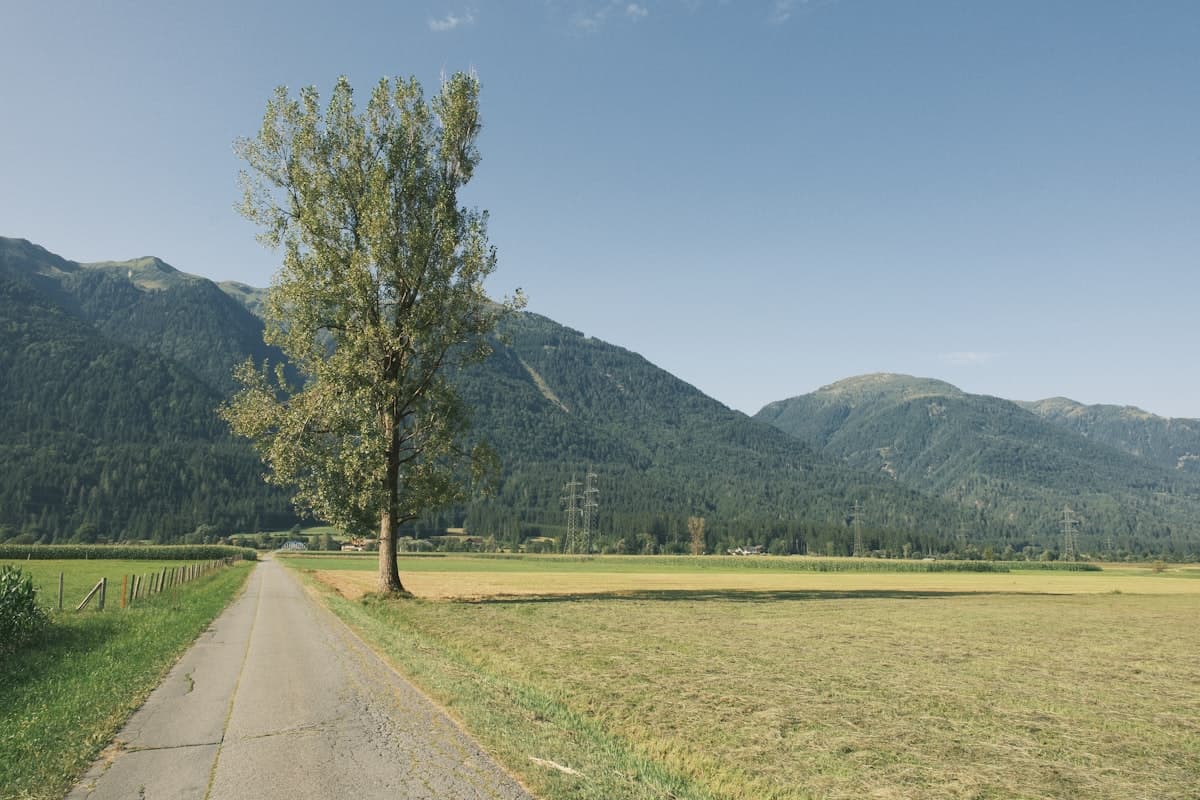 明亮的鄉下道路，象徵人生選擇與職涯道路